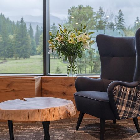 Rezydencja Owca Na Szlaku Zakopane Exteriér fotografie